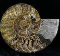 Cut And Polished Ammonite Pair - Agatized #27711-2